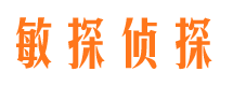 田家庵市调查公司